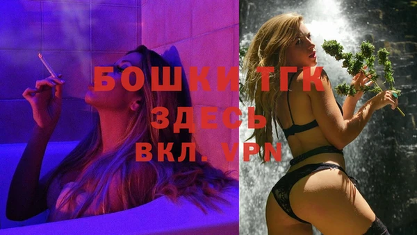 тгк Мегион