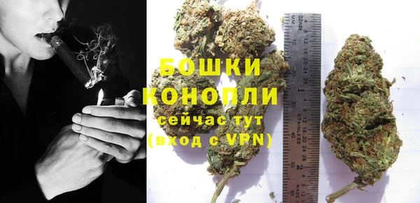тгк Мегион